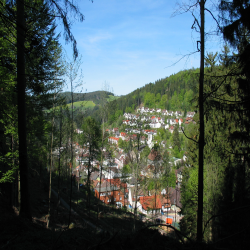 Black Forest  Picture 015.jpg